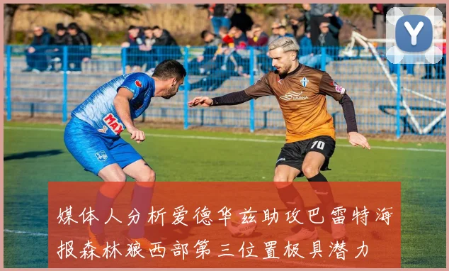 媒体人分析爱德华兹助攻巴雷特海报森林狼西部第三位置极具潜力