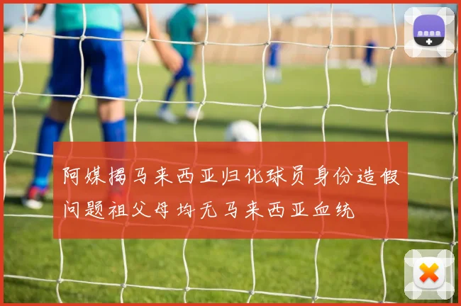 阿媒揭马来西亚归化球员身份造假问题祖父母均无马来西亚血统