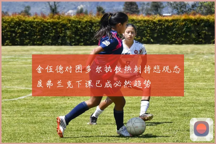 舍伍德对图多尔执教热刺持悲观态度弗兰克下课已成必然趋势