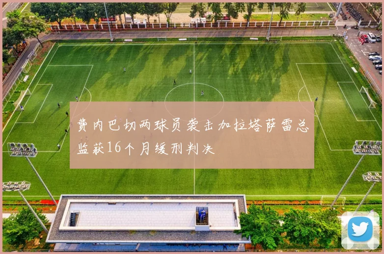 费内巴切两球员袭击加拉塔萨雷总监获16个月缓刑判决
