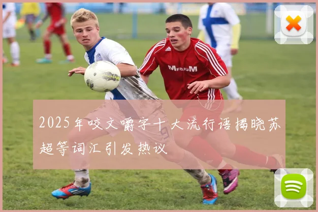2025年咬文嚼字十大流行语揭晓苏超等词汇引发热议